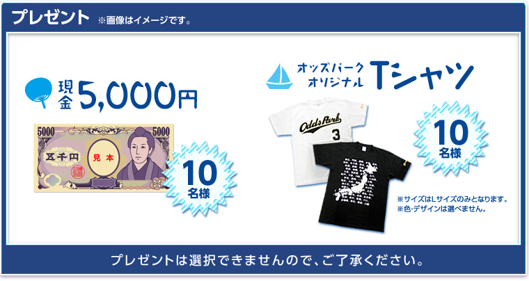 プレゼント ※画像はイメージです。※プレゼントは選択できませんので、ご了承ください。 現金5,000円 10名様/オッズパークオリジナルTシャツ 10名様 ※サイズはLサイズのみとなります。※色・デザインは選べません。