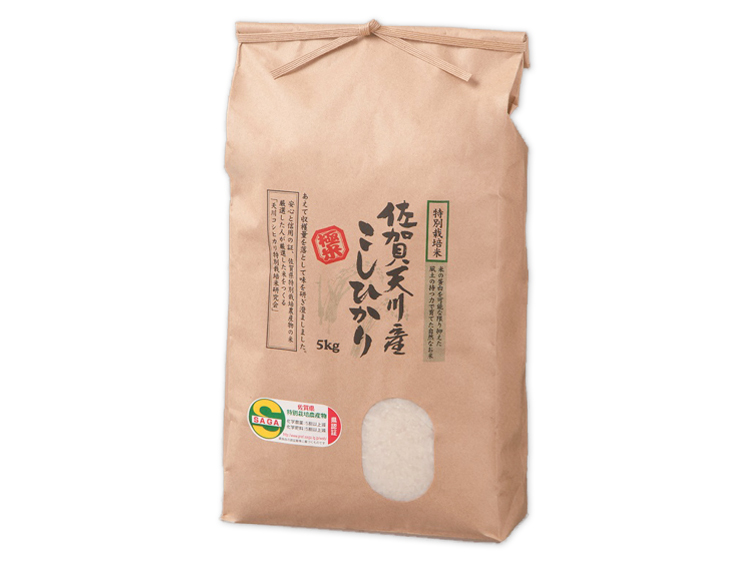 佐賀天川産こしひかり 5kg【平成29年産・化粧箱入】