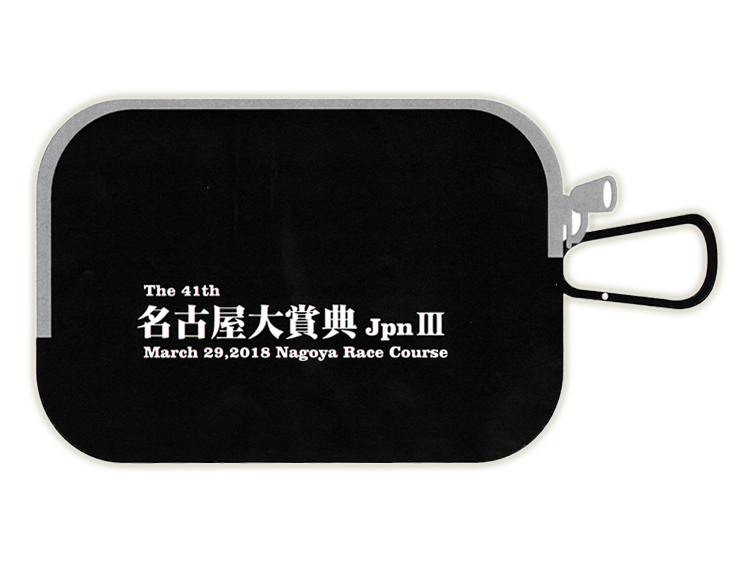 第41回名古屋大賞典マルチケース