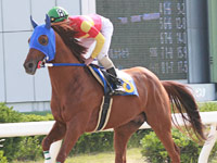 ハードインパルス
