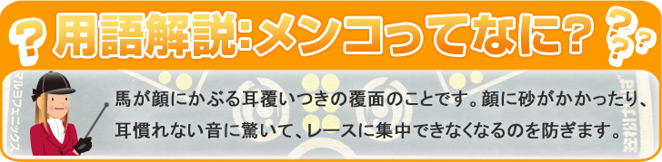 用語解説:メコンってなに?