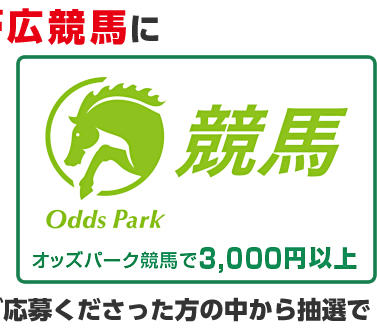 ばんえい競馬にオッズパーク競馬で3,000円以上