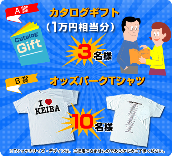 カタログギフト(1万円相当分)・オッズパークTシャツ
