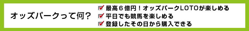 オッズパークって何?