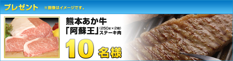 プレゼント 熊本あか牛「阿蘇王」ステーキ肉(250g×2枚) 10名様