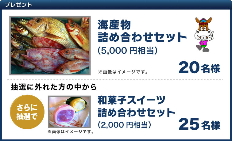 プレゼント 海産物詰め合わせセット(5,000円相当) 20名様 抽選に外れた方の中からさらに抽選で 和菓子スイーツ詰め合わせセット(2000円相当) 25名様 ※画像はイメージです。