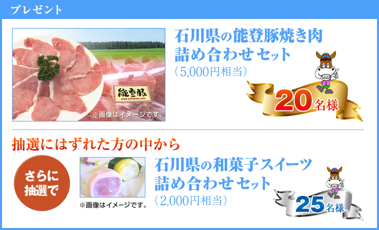 プレゼント 石川県の能登豚焼き肉詰め合わせセット(5,000円相当) ※画像はイメージです。 20名様 抽選に外れた方の中からさらに抽選で 和菓子スイーツ詰め合わせセット(2000円相当) 25名様 ※画像はイメージです。