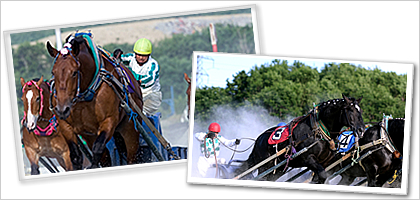 ばんえい競馬イメージ