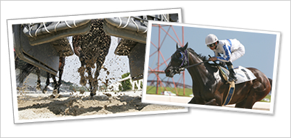 地方競馬のイメージ