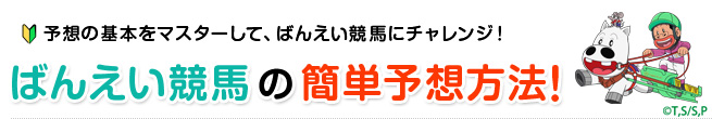 初心者でもOK!ばんえい競馬(帯広競馬場)の馬券買い方&簡単予想方法!