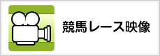 競馬レース映像