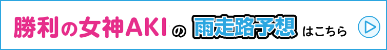 勝利の女神AKIのスペシャル