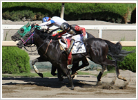 	１０月９日撮影	