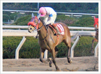 '17/12/31 3勝目