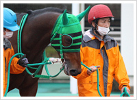 11月1日撮影