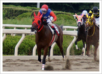 '16/9/14 初優勝