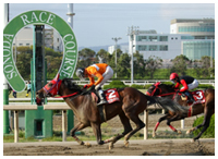 '17/4/13 菊水賞優勝！6連勝！