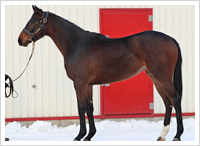 １月１６日撮影