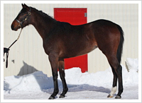 ２月１５日撮影