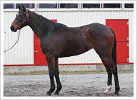 ３月１５日撮影