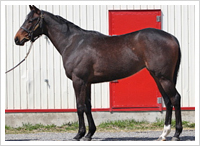 ４月１６日撮影