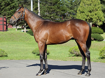 オッズパーク地方競馬応援プロジェクト「HOT NEWS!!」 オッズパーク地方競馬応援プロジェクト「HOT NEWS!!」