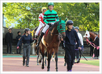 11月7日撮影