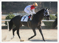 	１月３日撮影（レース後）	