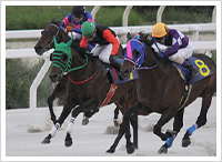 １１月５日撮影