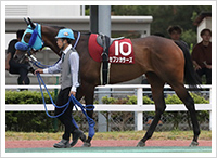 5月19日撮影