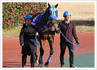 2月20日撮影