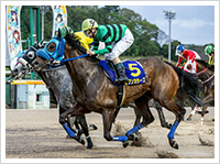 4月20日佐賀県競馬組合撮影
