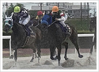 5月15日撮影