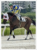 6月15日撮影
