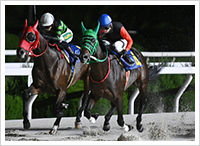 １０月２４日撮影