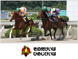 兵庫競馬