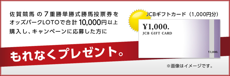 v[g@ꋣn̂VdPn[IbYp[NLOTOōv10,000~ȏwALy[ɉ債ɂȂv[gB@JCBMtgJ[hi1,000~j@摜̓C[WłB