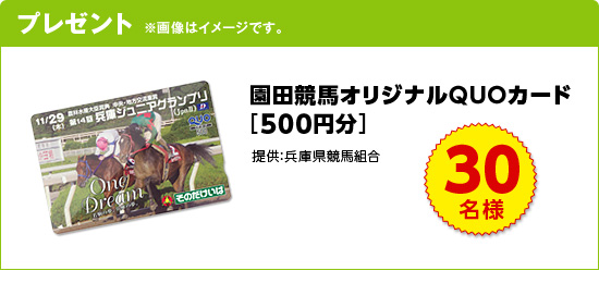 v[g@摜̓C[WłB@cnIWiQUOJ[hi500~j@30l@񋟁FɌng