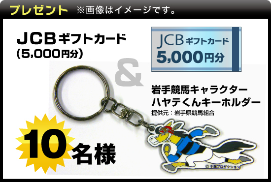 v[g@摜̓C[WłB@JCBMtgJ[h5,000~苣nLN^[neL[z_[@10l 񋟌F茧ng