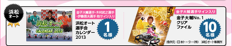 qIEؑVIEɓMvI葼TC@lI[gIJ_[2013 1l@qITC@qNo.1NAt@C 10l@񋟌:{g[^[ij lI[gƏ