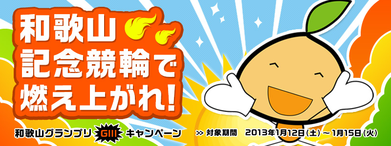 a̎ROviGIIIjLy[@a̎RLOւŔRオI@Ώۊ:2013N112iyj`2013N115i΁j