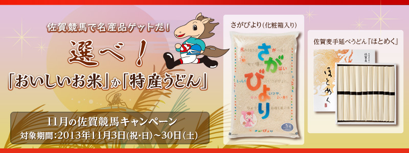 11̍ꋣnv[gLy[@ꋣnŖYiQbgIIׁIuāvuYǂv@тiϔj^ꔞ艄ׂǂwقƂ߂x@Ώۊ:2013N113ijEj`1130iyj