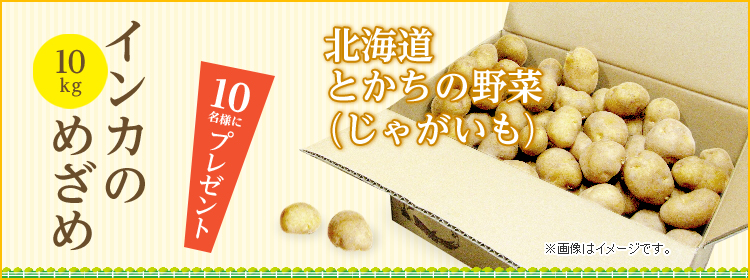 CĴ߂߁iႪj10Kg@10lɃv[g@kCƂ̖؁@摜̓C[WłB