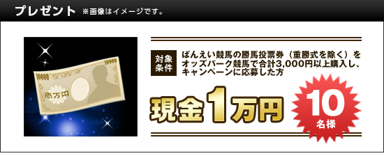 v[g@ΏۏF΂񂦂n̏n[idjIbYp[Nnōv3,000~ȏwALy[ɉ債@1~@10l