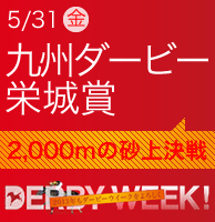 531ij@B_[r[h܁@2,000̍㌈@_[r[EC[N