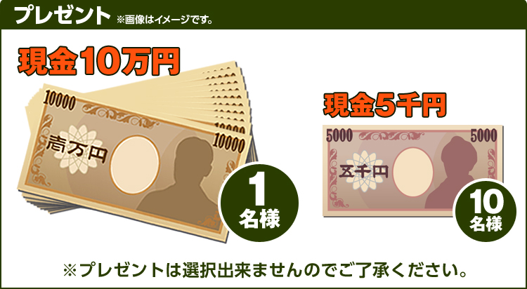 v[g@E10~1l@E5~10l@摜̓C[WłBv[g͑Ił܂̂ŁAB