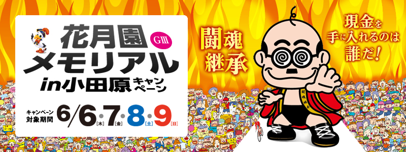 ԌAincLy[ Ly[ΏۊԁF2013N66()A7()A8(y)A9()@p@ɓ̂͒NI