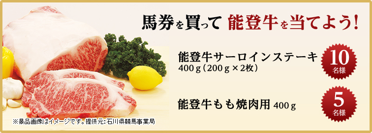 n𔃂Ĕ\o𓖂Ă悤!@\oT[CXe[L@400g(200g×2)10l@\oēp 400g5l@i摜̓C[WłB@񋟌:ΐ쌧nƋ