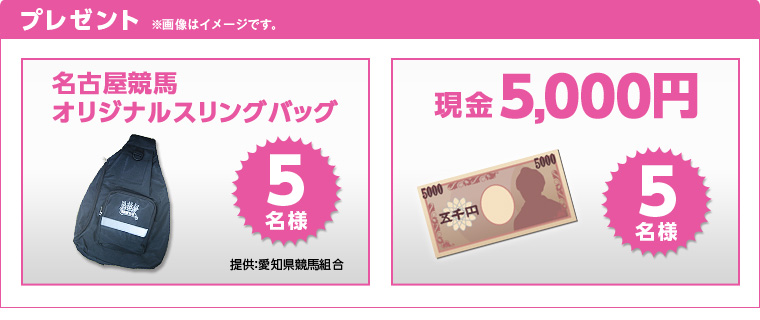 v[g@摜̓C[WłB@ÉnIWiXOobO@5l@񋟌:mng@5,000~@5l