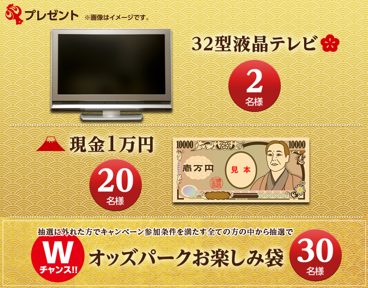 v[g@摜̓C[WłB@32^ter@2lA1~@10l@IɊOꂽŃLy[Q𖞂SĂ̒̕璊IŃ_u`XII@IbYp[Nyݑ܁@30l